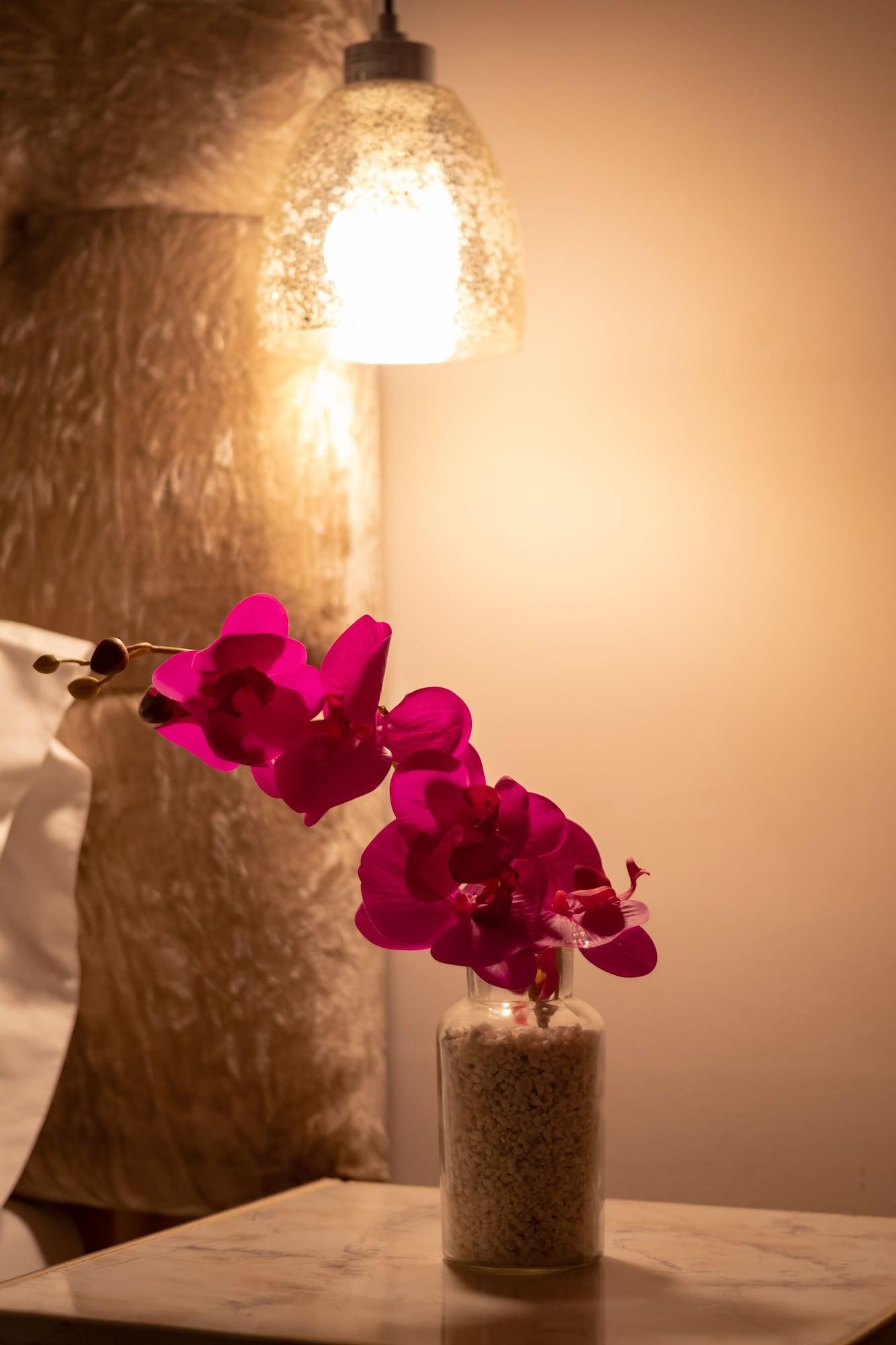 Aposentos De San Pedro Hotel Cartagena Kültér fotó