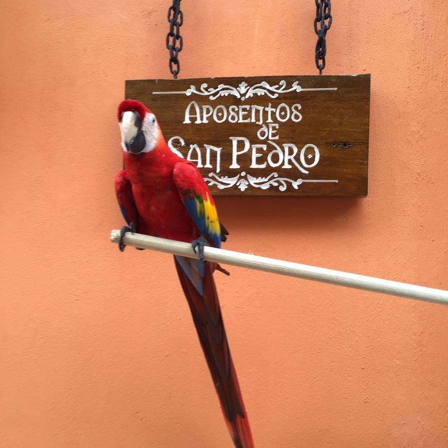 Aposentos De San Pedro Hotel Cartagena Kültér fotó